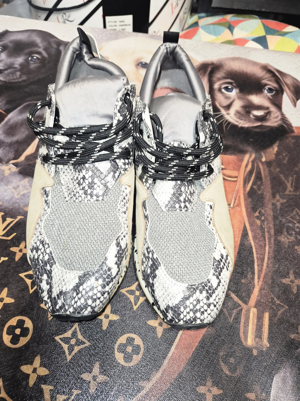 Steve Madden Silver Snake-Print & Black Accent Men's Sneakers